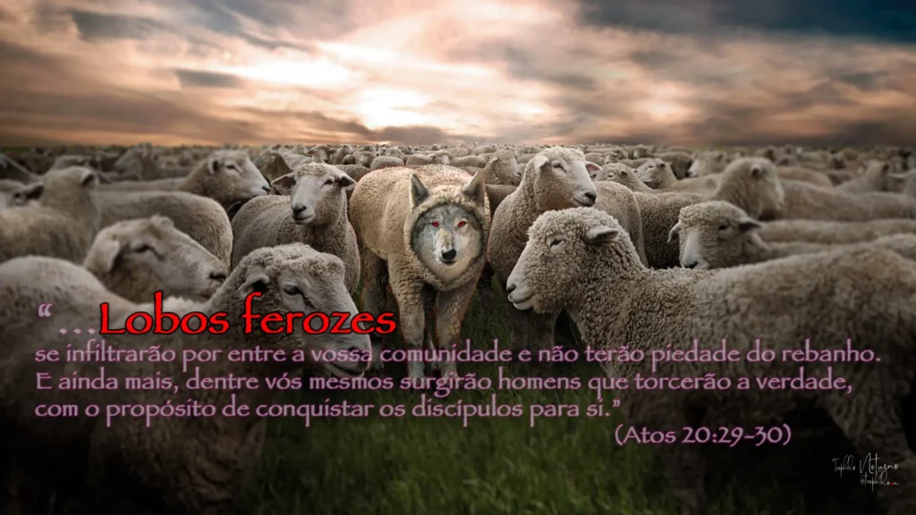 Montagem conceitual de um lobo com olhos vermelhos brilhantes vestindo pele de ovelha no meio de um rebanho, sob céu nublado, com o texto de Atos 20:29-30 sobreposto.