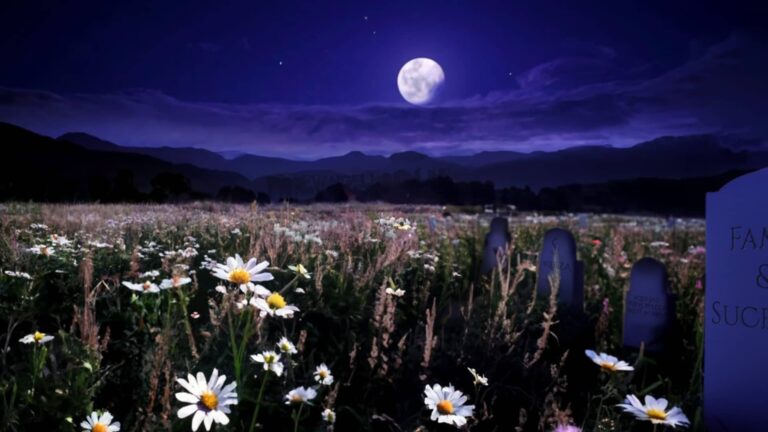 Hermoso destino