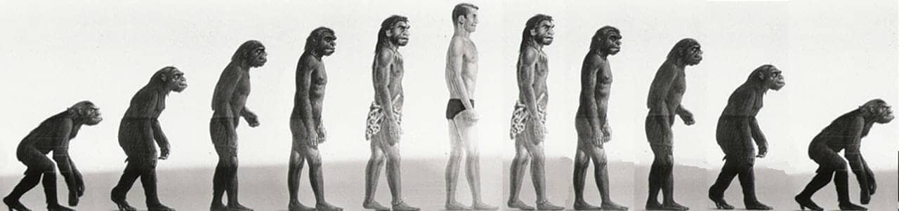 O Circunvoltear da Humanidade
